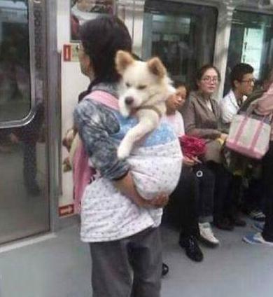 宝宝不想坐地铁 宝宝不想坐地铁