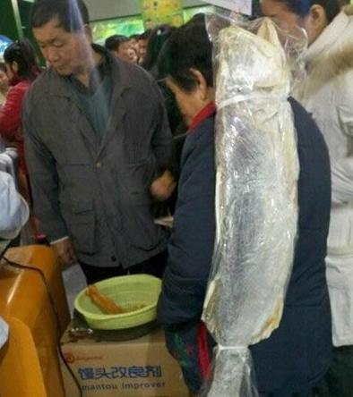 尚方宝剑在此 尚方宝剑在此