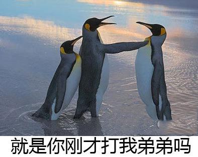 就是你刚才打我弟弟吗 就是你刚才打我弟弟吗