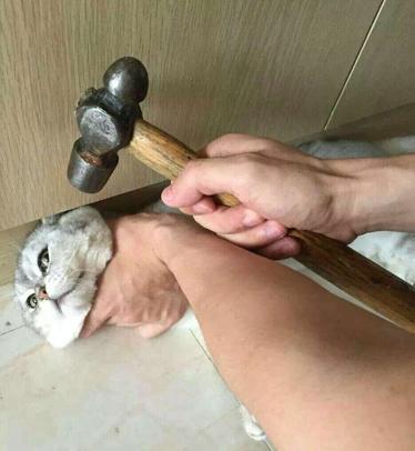 就算你把我打死也不会说的了 就算你把我打死也不会说的了