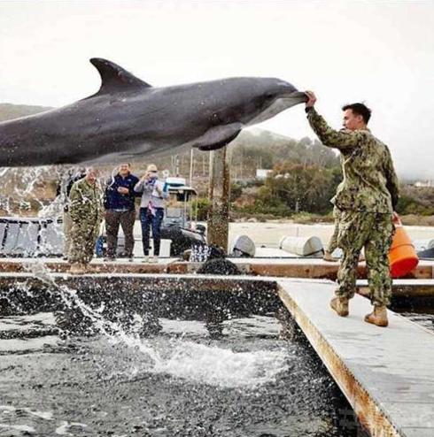 就这么点力量还想偷袭我 就这么点力量还想偷袭我