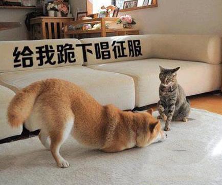 就这样被你征服 就这样被你征服