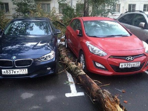 就这样避开了所有的正确答案 就这样避开了所有的正确答案