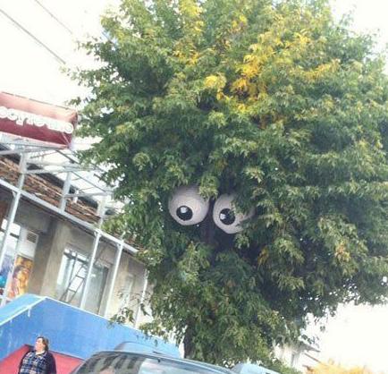 就这样静静的看你装逼 就这样静静的看你装逼