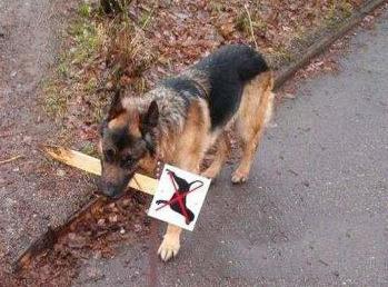 居然敢禁止我 居然敢禁止我