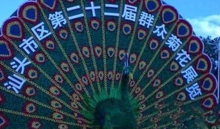 展览会名字亮了 展览会名字亮了