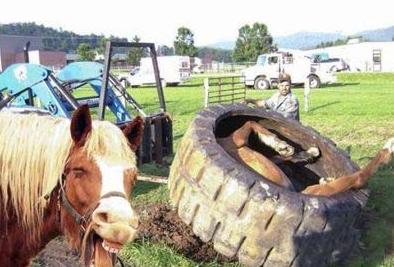 幸灾乐祸的损友 幸灾乐祸的损友