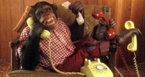 忙不过来 忙不过来