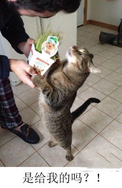 意外收到礼物的你 意外收到礼物的你