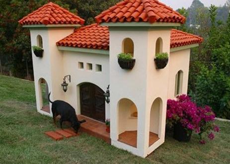 感觉活的不如狗 感觉活的不如狗