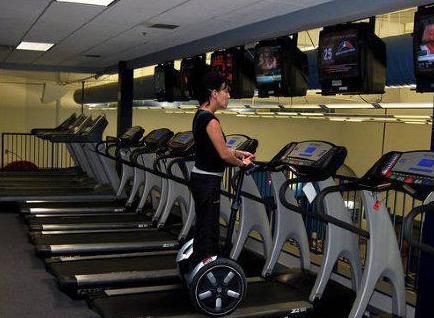 懒人是充满智慧的 懒人是充满智慧的