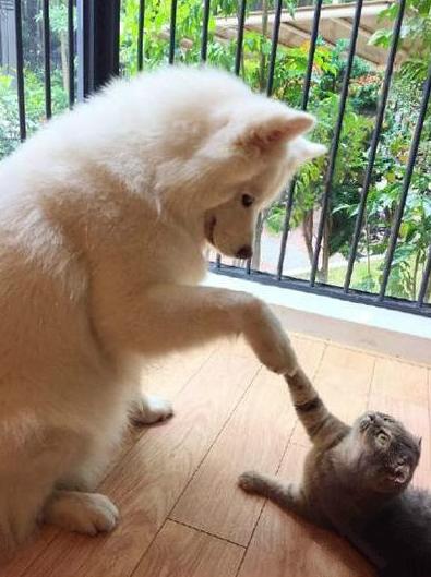 我们...... 我们......