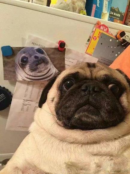 我和他真的没有血缘关系 我和他真的没有血缘关系