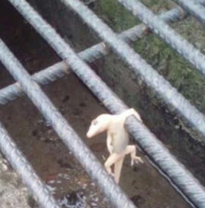 我想我还能打救一下的 我想我还能打救一下的