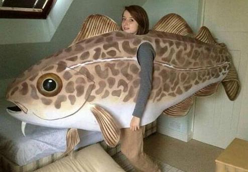 我是一只不会游泳的鱼。 我是一只不会游泳的鱼。