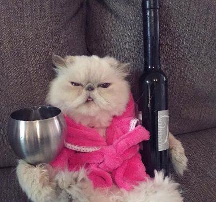 我有酒你有故事吗 我有酒你有故事吗