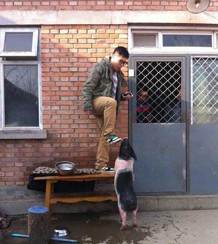 我这颗好白菜是绝对不会让你拱的 我这颗好白菜是绝对不会让你拱的