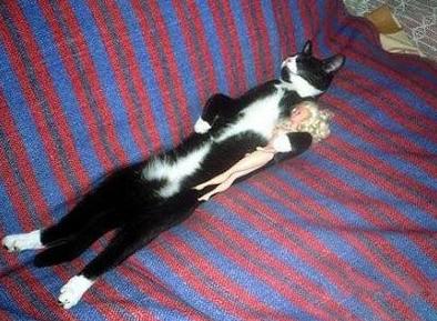 抱着爱妃就寝就是爽 抱着爱妃就寝就是爽