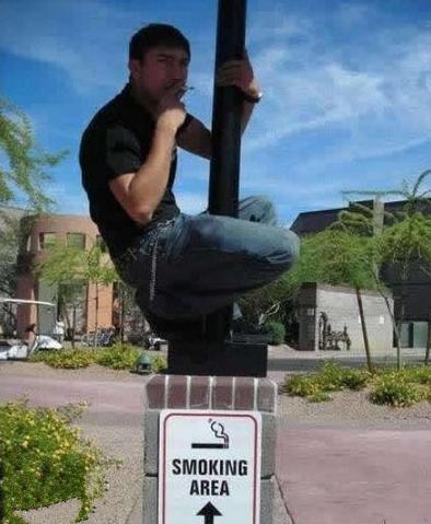 按照指示行事 按照指示行事