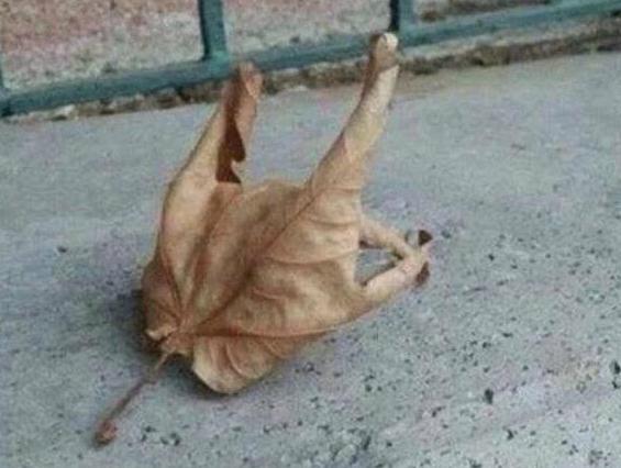 捏指一算 捏指一算