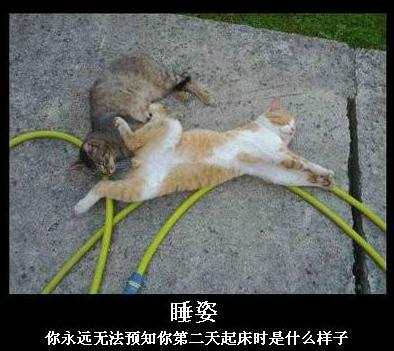 无法预知的睡姿 无法预知的睡姿