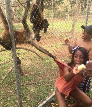 明明是我们的同类为什么要穿衣服 明明是我们的同类为什么要穿衣服