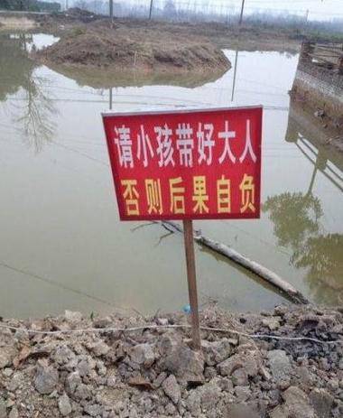 智商是硬伤 智商是硬伤