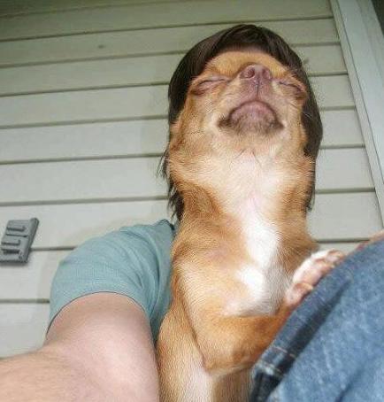 最完美的自拍 最完美的自拍