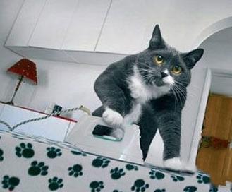 朕也想体验一下当奴才的感觉 朕也想体验一下当奴才的感觉