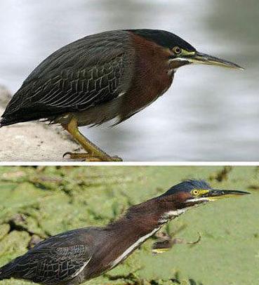 期末考试现场的我 期末考试现场的我