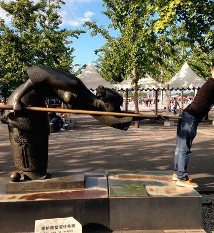 木杆跟菊花的大小刚好 木杆跟菊花的大小刚好