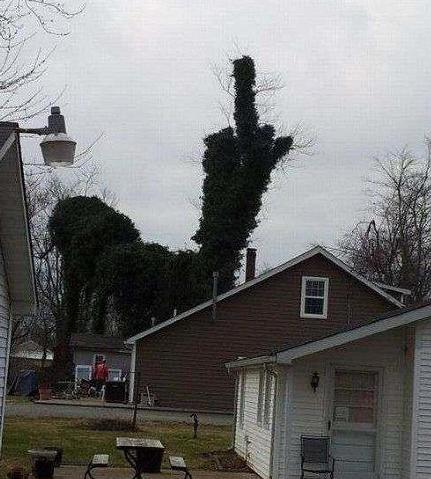 来自自然界的声音 来自自然界的声音