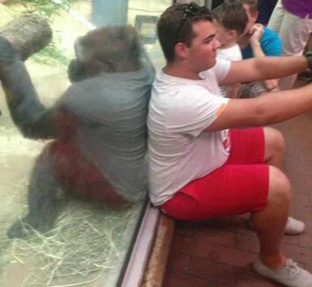 某动物园惊现一块照妖镜 某动物园惊现一块照妖镜