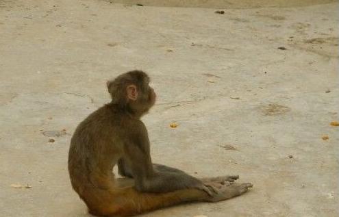 标准的坐姿 标准的坐姿