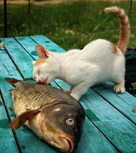 此生有你足以 此生有你足以