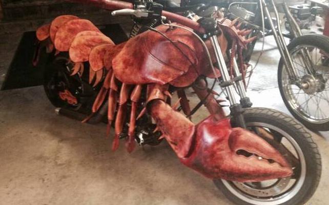 此虾起码要三万八一只 此虾起码要三万八一只