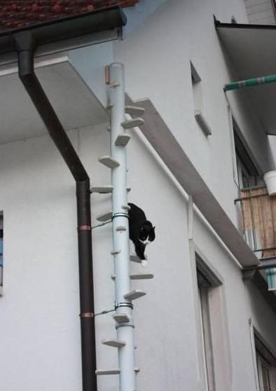 此设计太喵性化了吧 此设计太喵性化了吧