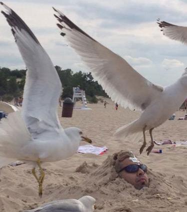 每个在沙滩上被埋起来的人都应该注意 每个在沙滩上被埋起来的人都应该注意