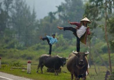 每天放牛时顺便练功 每天放牛时顺便练功