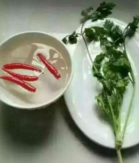 每天都是吃香喝辣的 每天都是吃香喝辣的