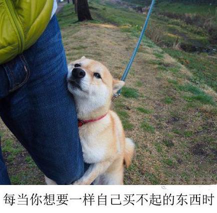 每当你想要一样自己买不起的东西时 每当你想要一样自己买不起的东西时