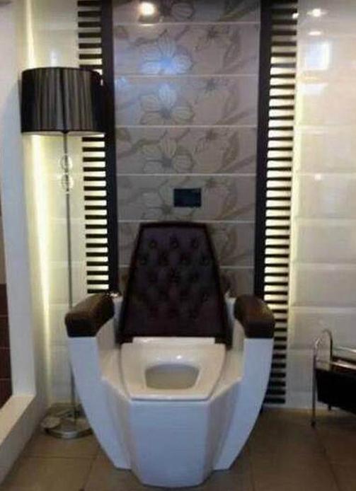 每次上厕所都有种登基的感觉 每次上厕所都有种登基的感觉