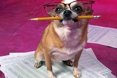 气质来源于知识 气质来源于知识