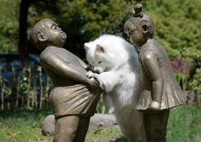 汪星人你凑什么热闹啊 汪星人你凑什么热闹啊