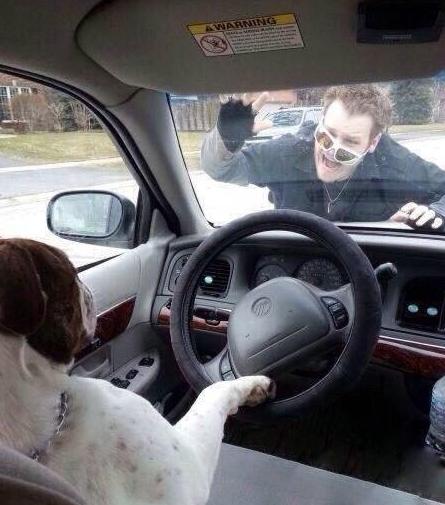 汪星人成功逆袭 汪星人成功逆袭