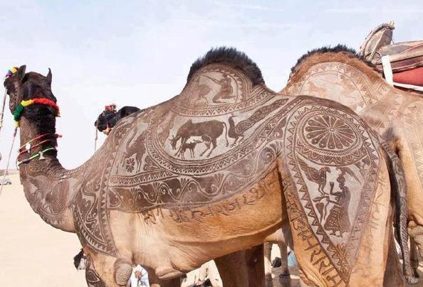 没个纹身都不好意思出来 没个纹身都不好意思出来