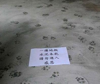 然而并没什么用 然而并没什么用