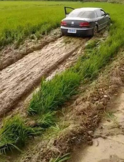 犁得一手好田 犁得一手好田