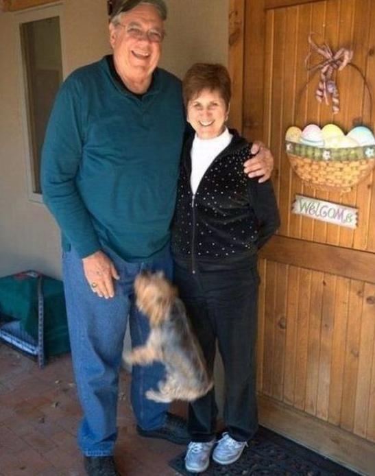 狗狗你真是抢镜高手啊 狗狗你真是抢镜高手啊