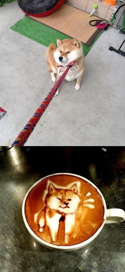 现在的咖啡厅也真是蛮拼的 现在的咖啡厅也真是蛮拼的